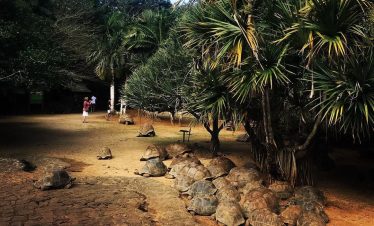 La Vanille Nature Park