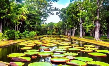 SSR Botanical Garden