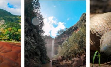 Chamarel