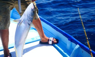  Deep Sea Fishing