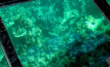 Blue Bay Marine Park